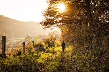 CUANDO EL INVIERNO TRAE LA DEPRESIÓN, LA NATURALEZA OFRECE AYUDA