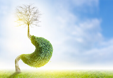  Las enzimas de condensación son diminutas con un gran impacto Пищеварительные ферменты играют решающую роль